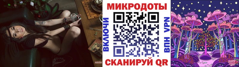 купить наркотик  Ярославль  Псилоцибиновые грибы Magic Shrooms 